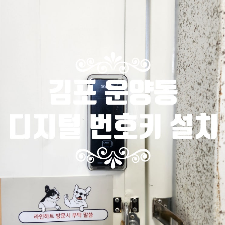 김포열쇠 운양동 보조형 디지털 번호키 현관문 도어락 설치 사례