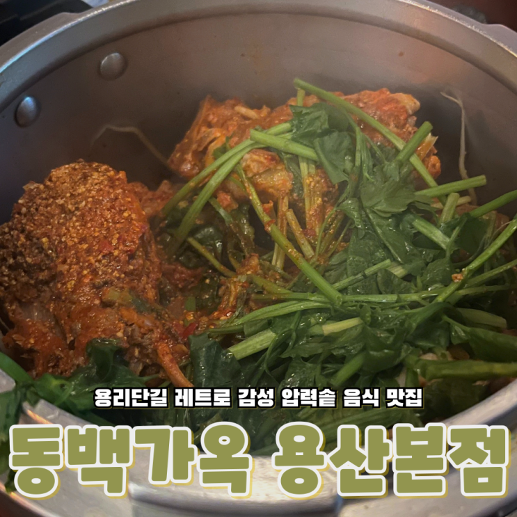  용리단길 힙한 복고 감성! 동백가옥에서 만난 특별한 압력솥 뼈찜