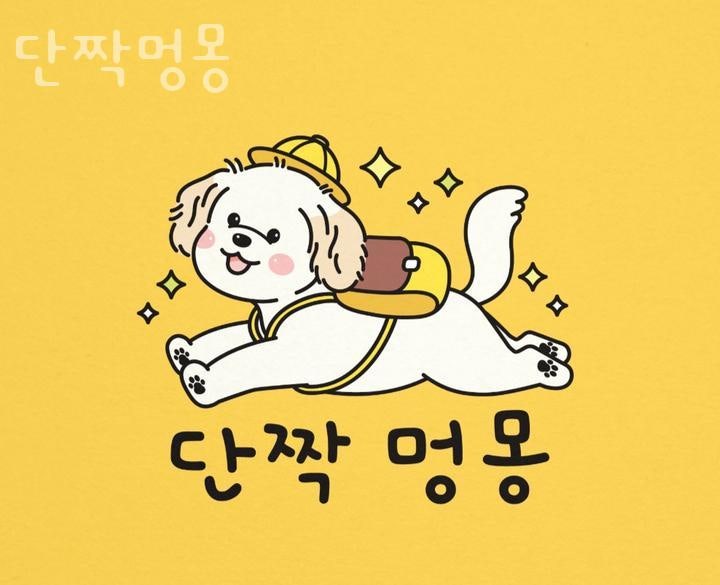 사진 2