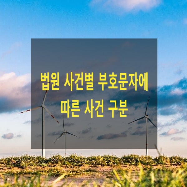 법원 사건별 부호 문자에 따른 사건 구분(헌법재판소, 검찰, 판례번호를 알아보자, 손해배상, 사건분류, 사건부호, 사건표시)