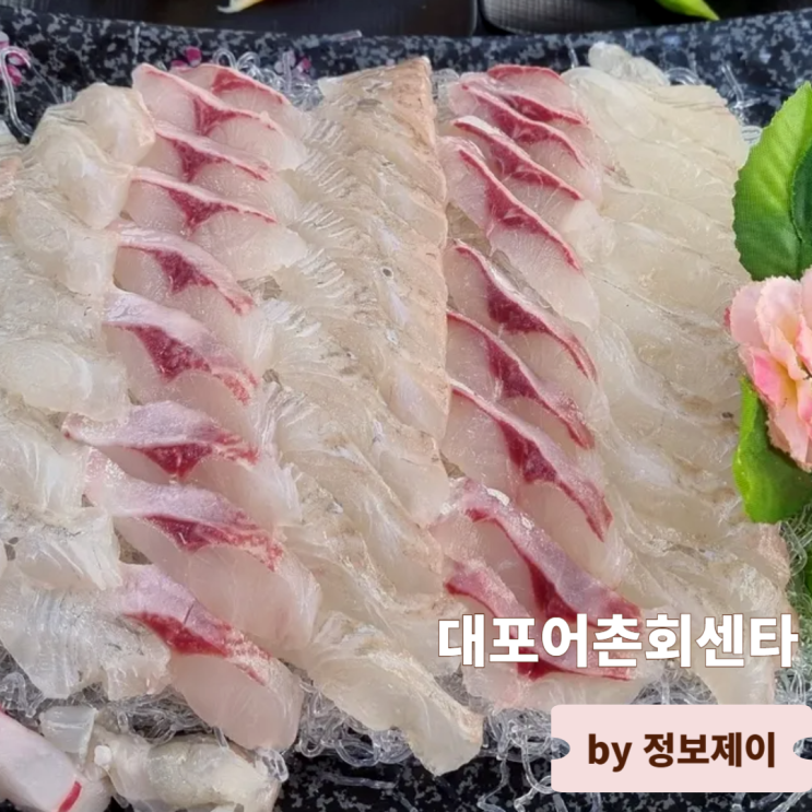  속초 대포항맛집 속초 전지역 무료 픽업 서비스 대포어촌회센타