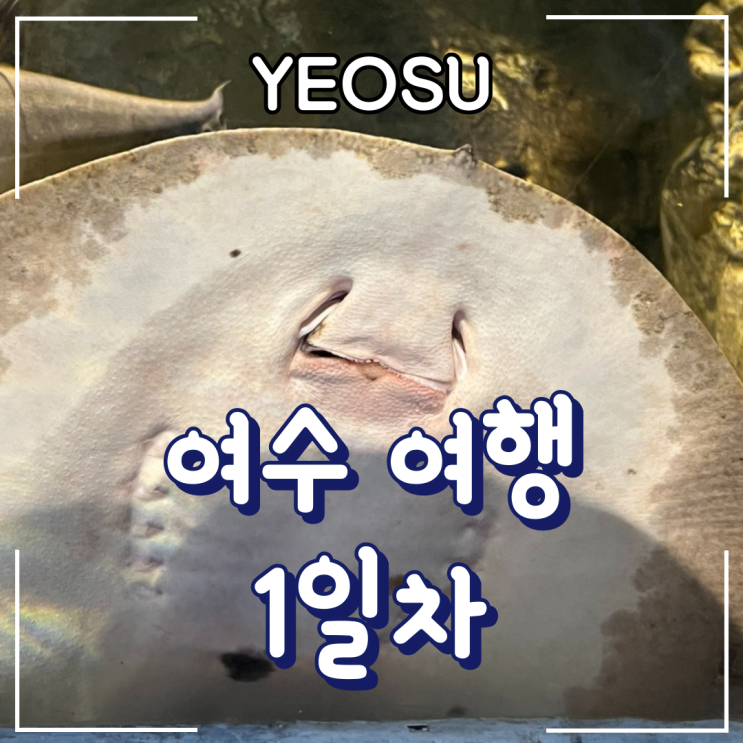  여수ㅣ1일차_ 실내 데이트로 좋은 “아르떼뮤지엄, 아쿠아플라넷”
