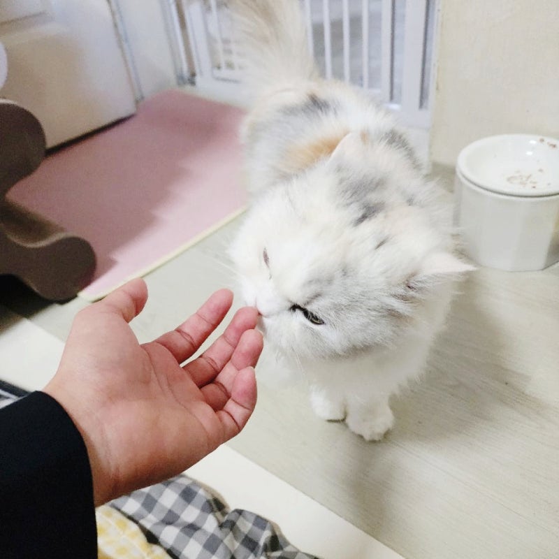 사진 6