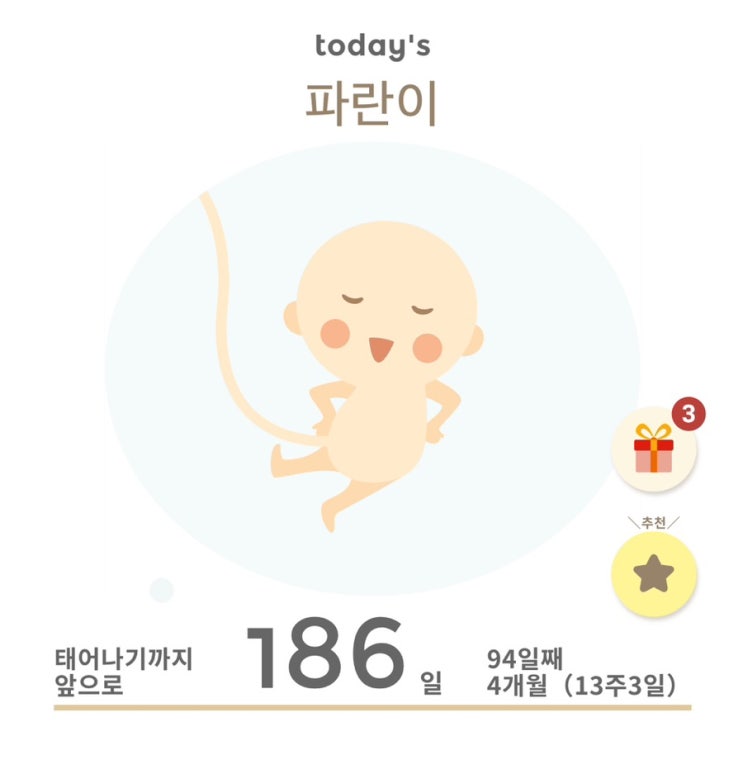  [임신일기] 13주 니프티검사결과 와 성별