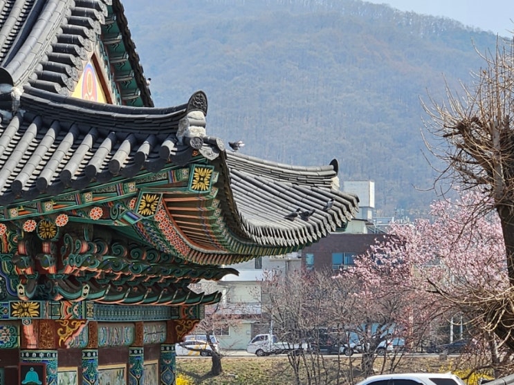  충북 청주 용화사 전국 유명한절 사찰여행 템플스테이 가볼만한곳 추천