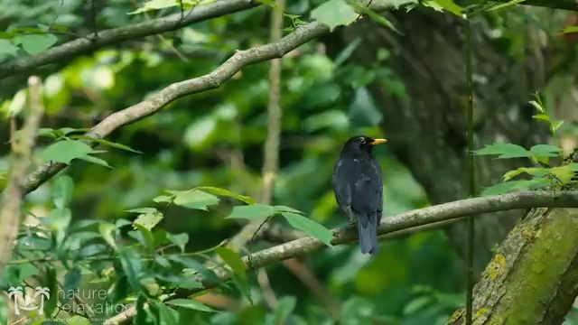  이천사회복지사 , 사회복지사2급 비전공자도 학은제로 빠르게