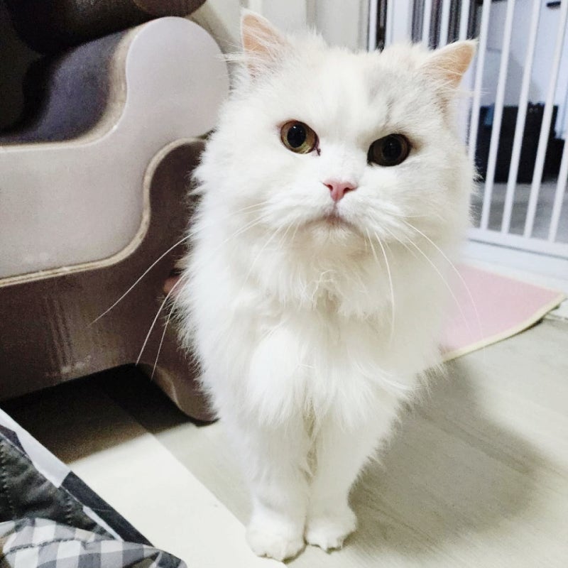 사진 5