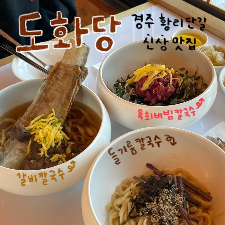  경주 황리단길 새로운 맛집 추천 칼국수 맛집 ‘도화당’ 내돈내먹 후기