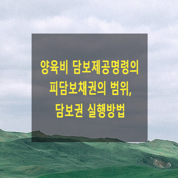  양육비 담보제공명령의 피담보채권의 범위, 담보권 실행방법