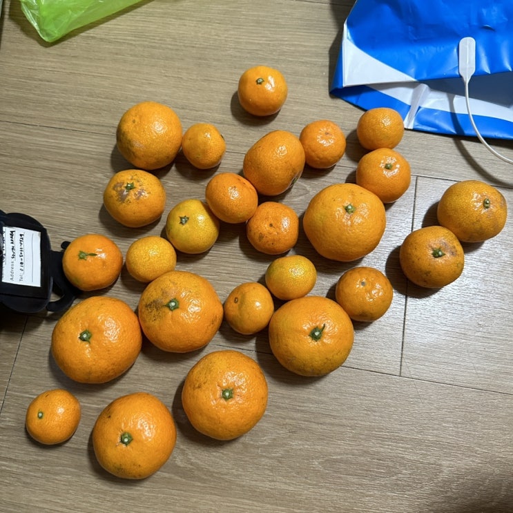  231127~1203 먹고 살기