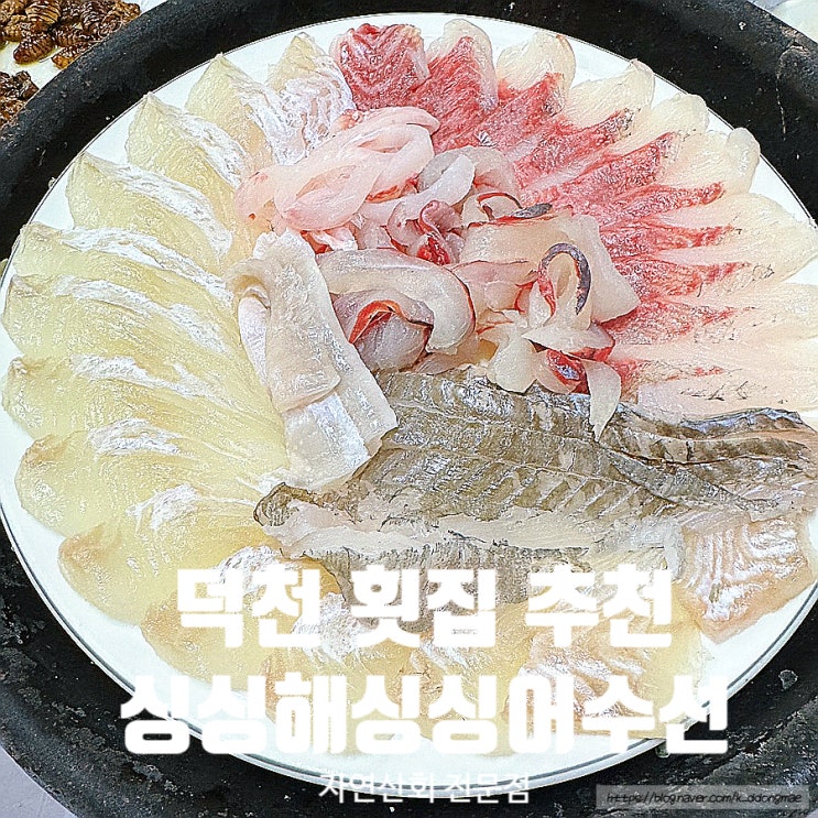  덕천 횟집 추천 '싱싱해싱싱어수산' 싱싱한 제철회 내돈내산