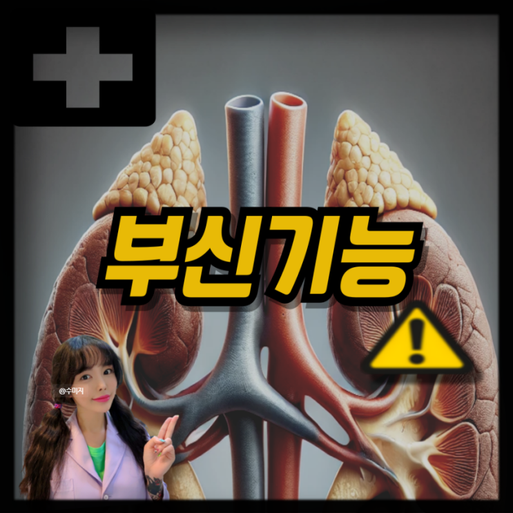  부신 뜻 부신기능 검사 부신기능저하증 부신종양 부신암