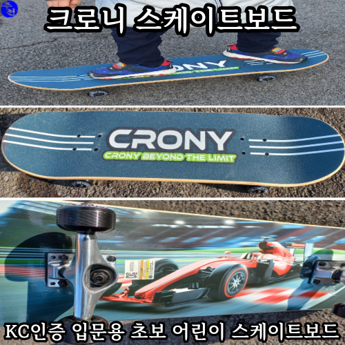 크로니 스케이트보드 초보 어린이 스케이트보드