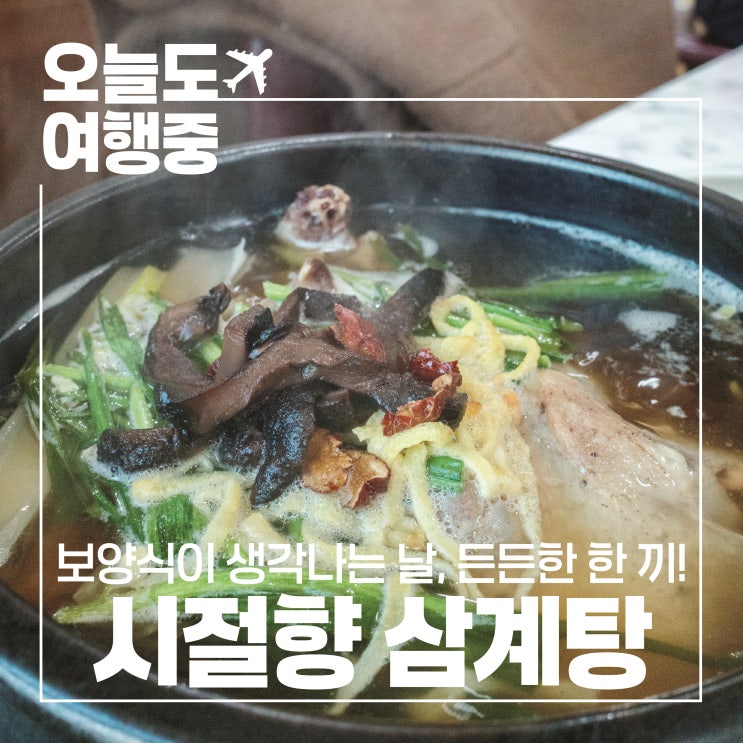  [영주 삼계탕 맛집] 뜨끈한 국물이 생각날 때 영주 시절향 삼계탕 백숙 방문 후기(주차정보 포함)
