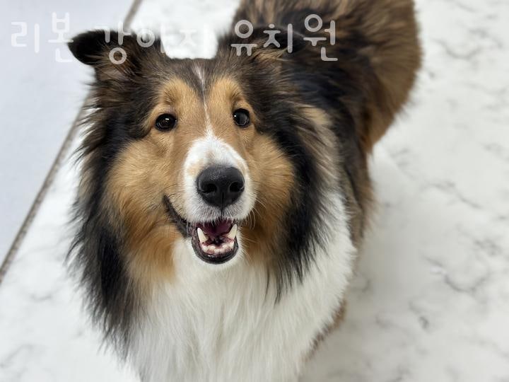 사진 2