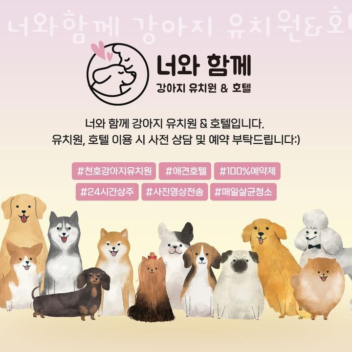 너와함께 강아지 유치원&호텔