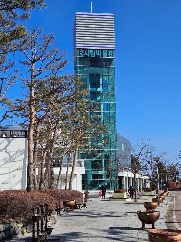 강원도 속초여행 (속초시립박물관 : 문화체험 관광지로써 설날 당일 무료로 관람한 박물관) 강원도 속초여행 (속초시립박물관 : 문화체험 관광지로써 설날 당일 무료로 관람한 박물관)