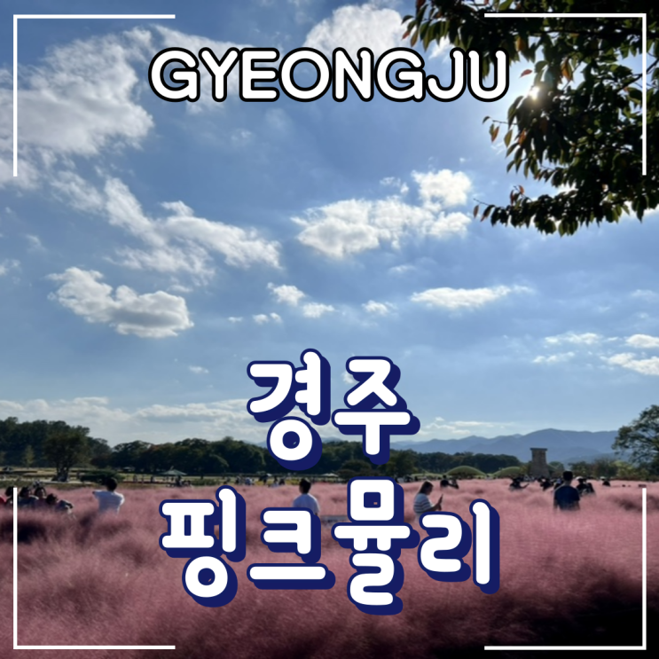 대구 근교 여행지 추천ㅣ경주 핑크뮬리 시기, 히든씨 카페