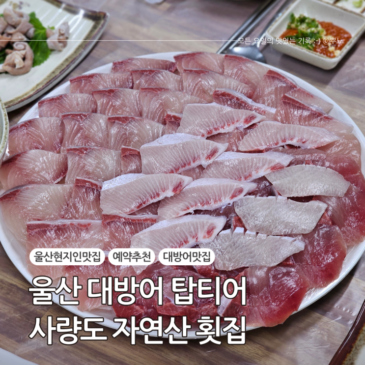  울산 현지인 추천 대방어 맛집:: 샤랑도자연산횟집(주차, 예약)