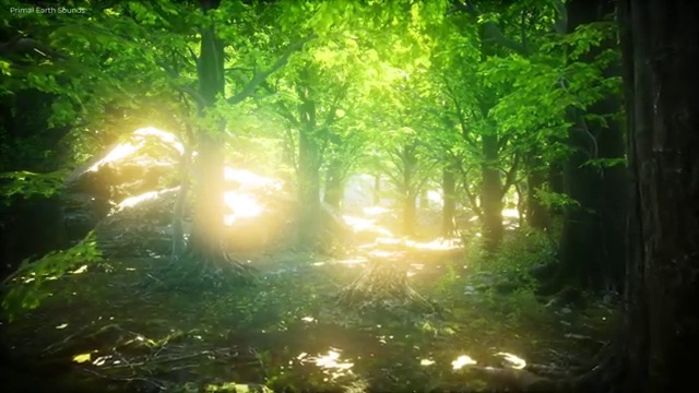 사회복지사무료강좌 , 사회복지사2급 중년 직장인도 학점은행제 인강으로 쉽고 빠르게
