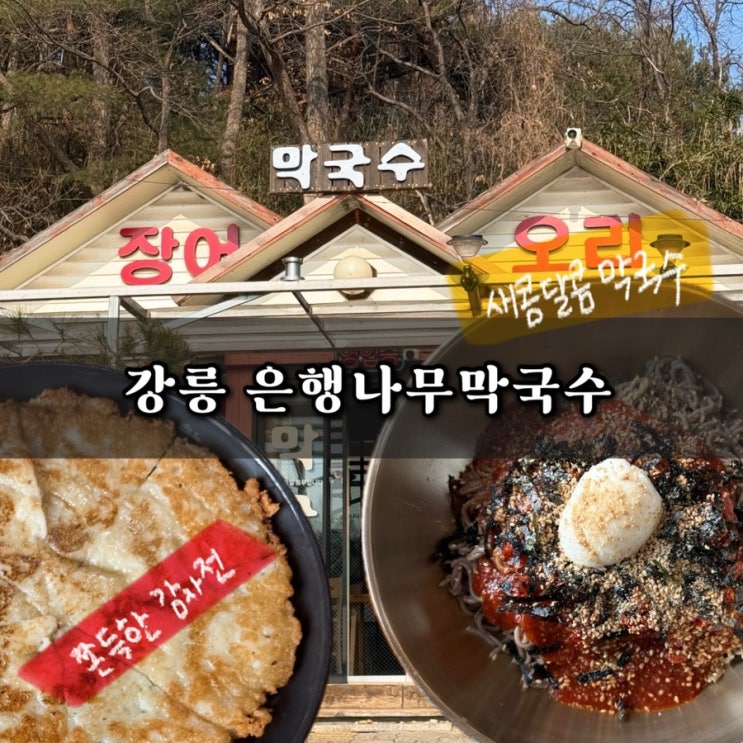  강릉 은행나무막국수 사천해변 맛집 메뉴 위치 주차 내돈내산 후기