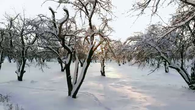  사회복지사 민간자격증 , 사회복지사2급 고졸도 학점은행제 인강으로 편하게