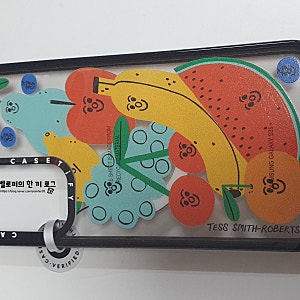 케이스티파이 갤럭시S25+ 케이스 내돈내산 언박싱