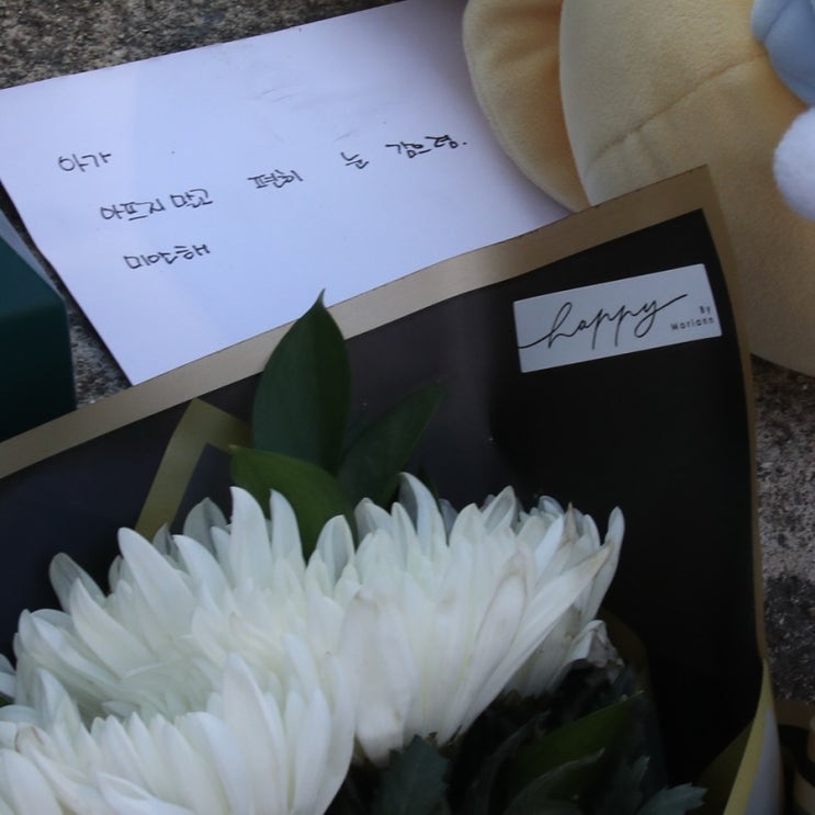 대전 초등생 <b>김하늘</b> 사건 <b>빈소</b>공개 유족은 계획범죄 주장