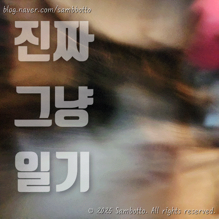  진짜 그냥 일기 | 새벽 다섯시반 기상, 참았던 식욕 폭발은 점심 도시락에 양보하기, 다이소 마사지볼 최고, 붕어빵 그립톡