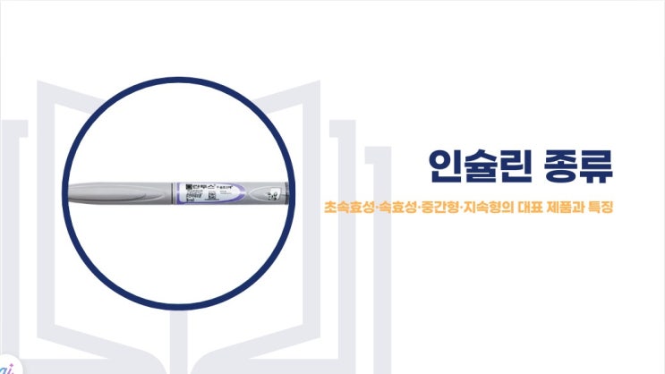  인슐린 종류: 초속효성·속효성·중간형·지속형의 대표 제품과 특징