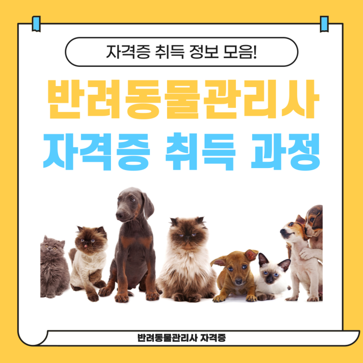 반려동물관리사 자격증 취득 과정(+공부 방법) 반려동물관리사 자격증 취득 과정(+공부 방법)