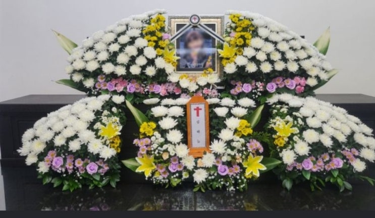  대전붉은악마 현장팀장 자녀상 김하늘양 소천 대전 관저동 초등생 흉기 피살 사건
