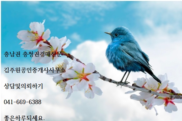  2025년2월11일 화요일 충남권 충청권경매전문 김주원공인중개사사무소에서 대전법원 경매장 찾아오시는길을 전해드립니다. 경매상담및의뢰 041 669 6388