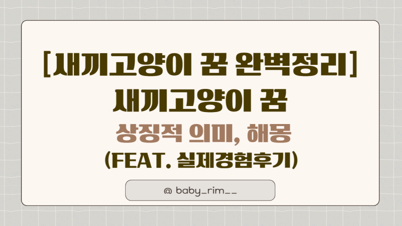 [새끼고양이 꿈 완벽정리] 새끼고양이 꿈 상징적 의미, 나오는꿈, 구하는 꿈 안는꿈 키우는꿈....