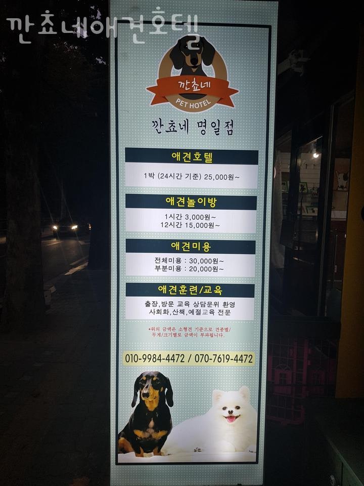 사진 2