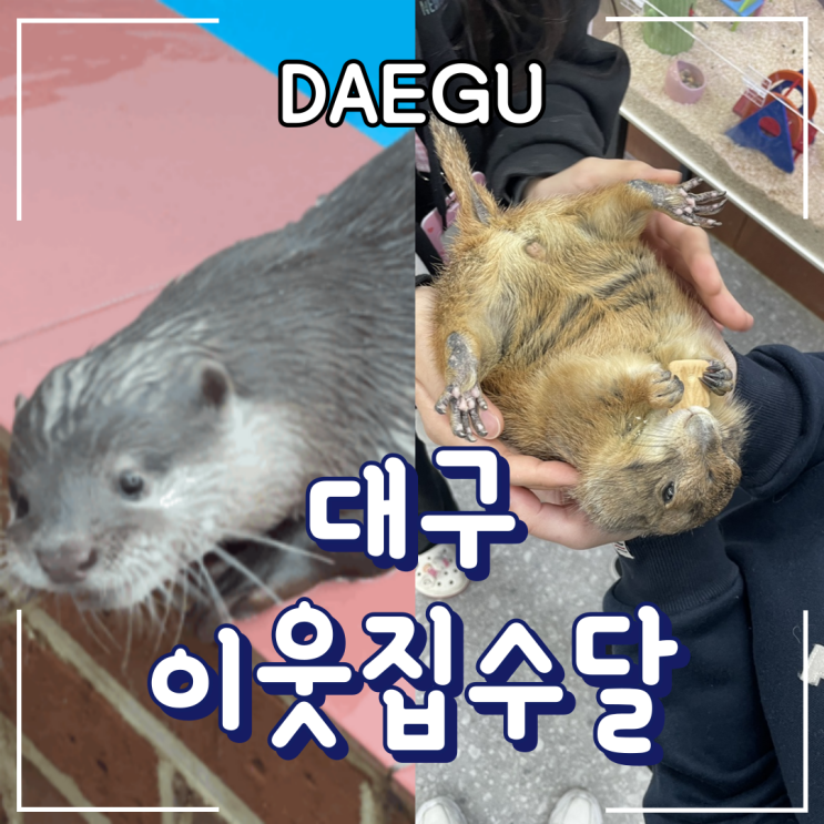  경산ㅣ대구 근교 실내데이트 아이와 가볼만한 실내동물원 ”이웃집수달“