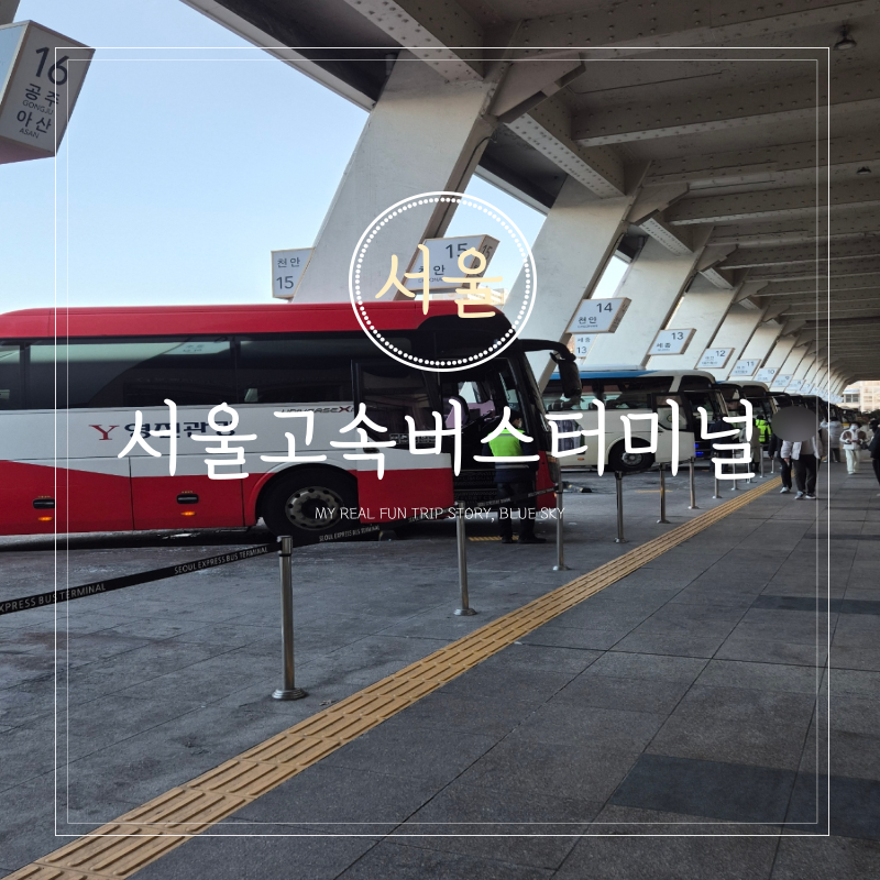 강남 서울 고속버스터미널 시간표 예매 짐보관
