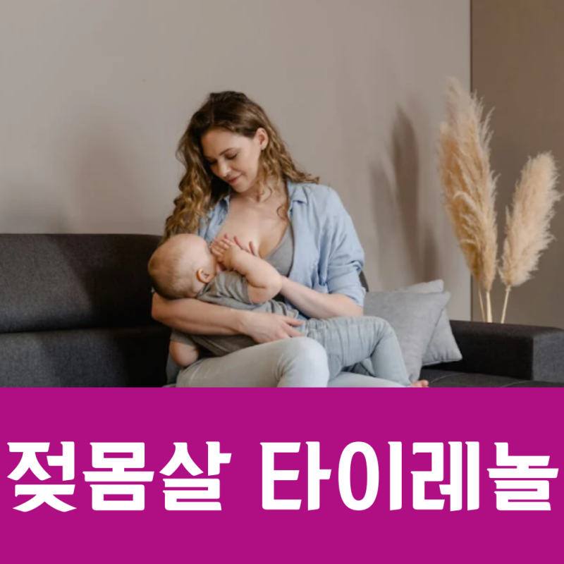 젖몸살 타이레놀 복용해도 될까?