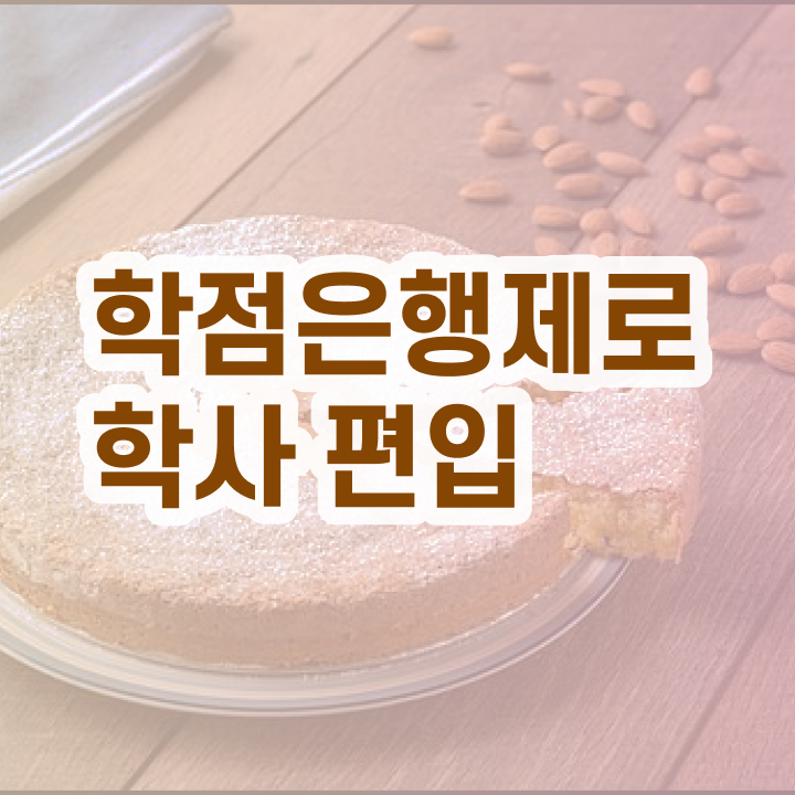  학점은행제 온라인수업 학점은행제 전문멘토 이 항목만 꼼꼼하게 확인해보세요