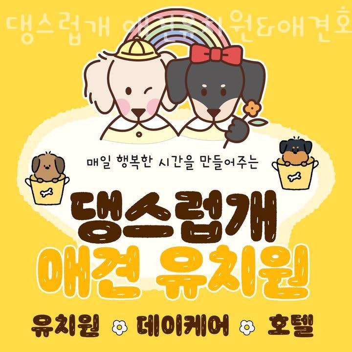 사진 5