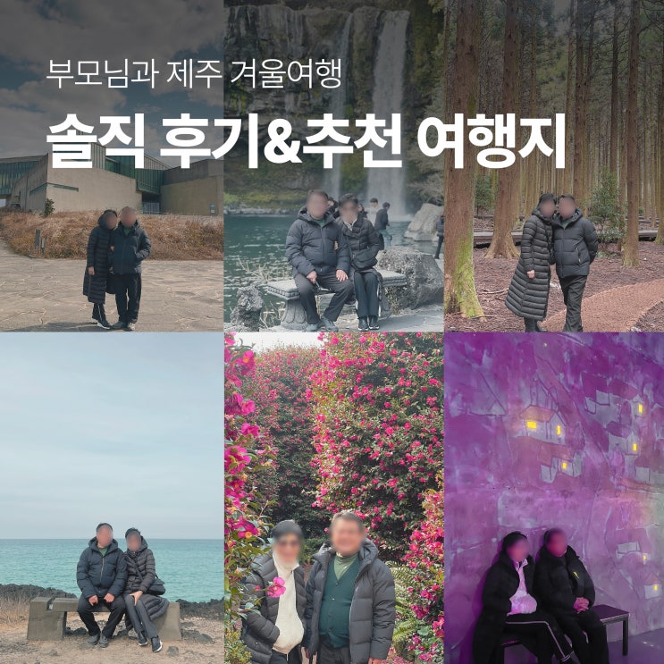  부모님과 제주 겨울여행 후기 및 추천 여행지