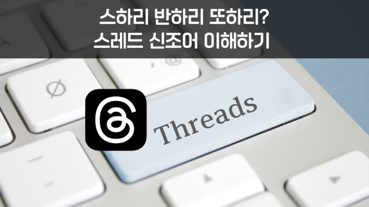  스레드 초보탈출! 신조어 스하리 반하리 또하리 뜻 및 사용방법