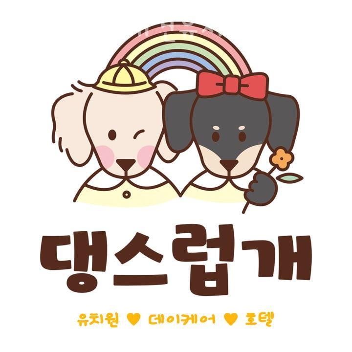 사진 6