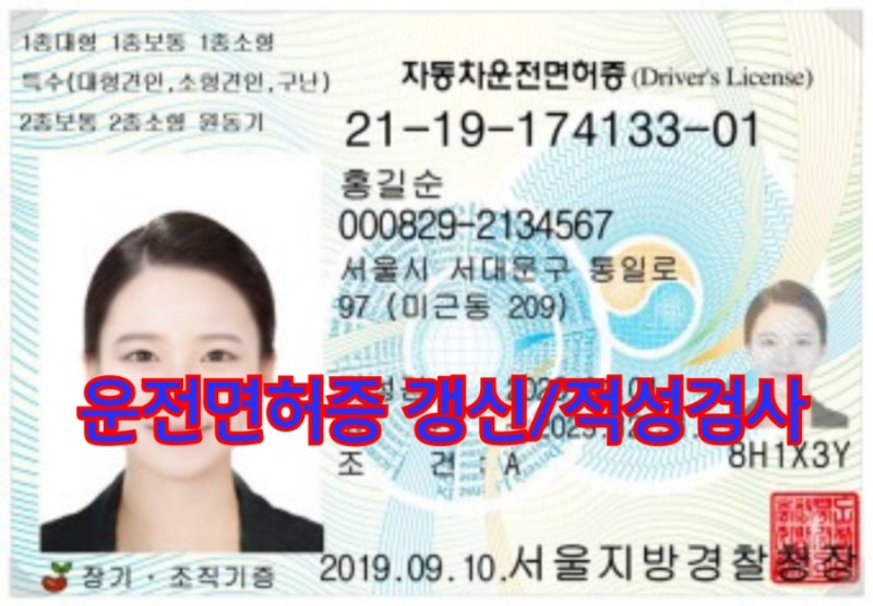 시력 미달 65세 이상 운전면허 갱신/적성검사하기