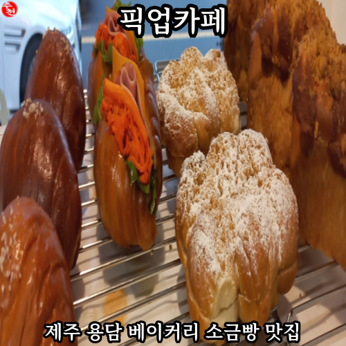 제주공항 근처 맛집 제주 용담 소금빵 추천 픽업카페