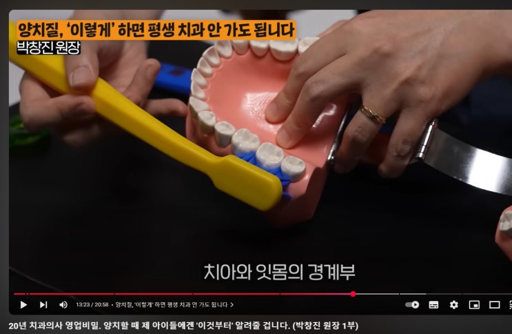  양치질, 이렇게 하면 평생 치과 안가도 됩니다!