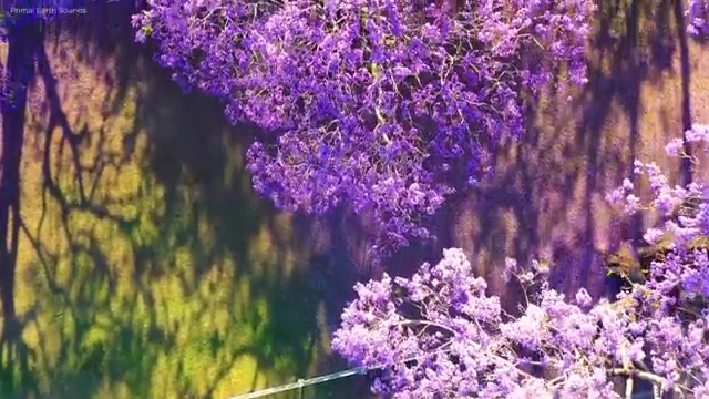  남양주시 금곡동,다산동,별내동 청년배관 하수구막힘베이킹소다 전문가 조언