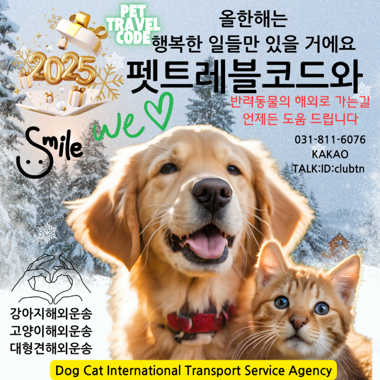 강아지 고양이 반려동물 애완견 반려견 반려묘 애견 애완동물 해외출국 입국 검역 CDC 서류 전문 서비스