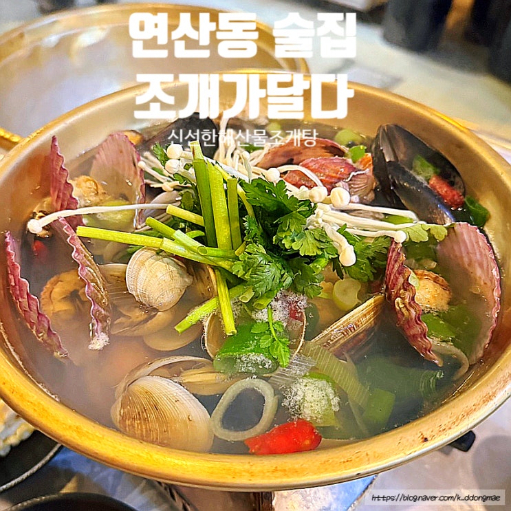  연산동 술집 '조개가달다' 싱싱한 해산물 조개탕 맛집 내돈내산