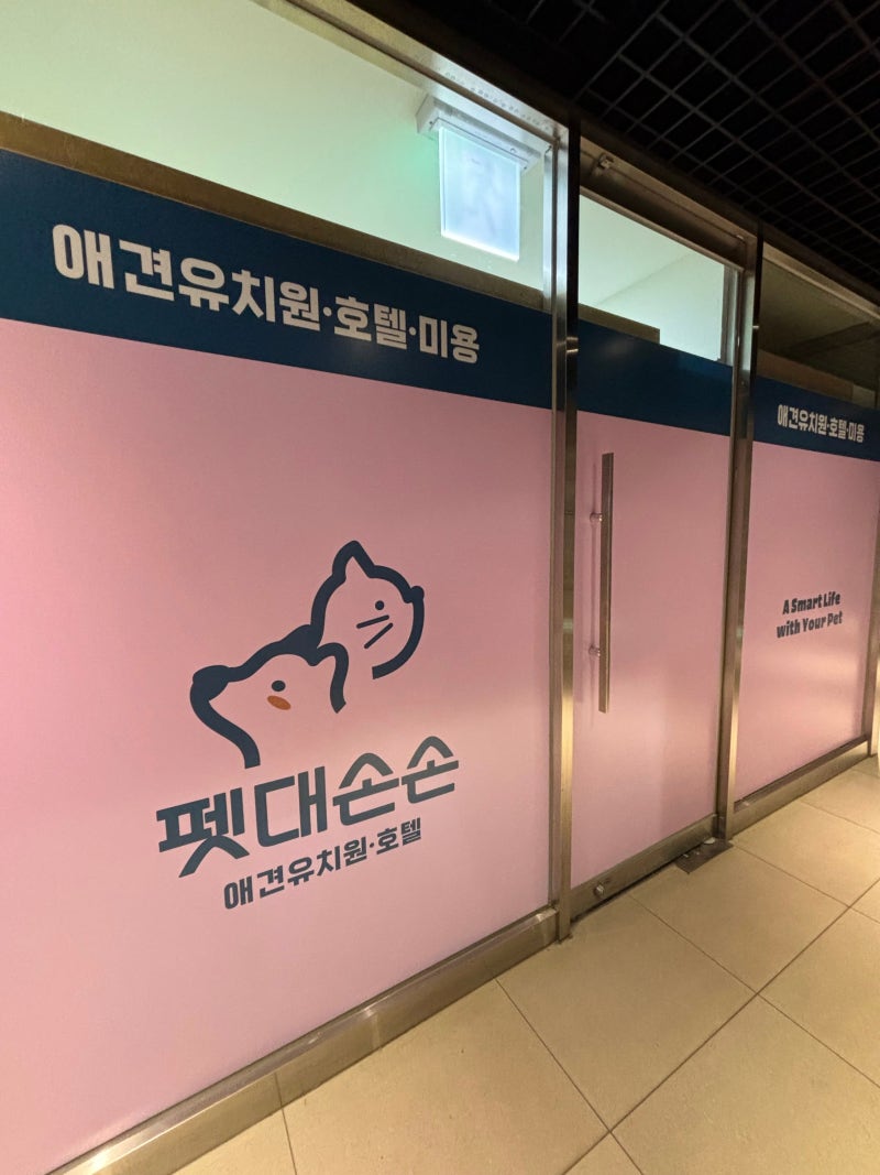사진 10